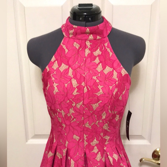 NWT Lulu’s Seasons of Love Lace Skater Dress - Picture 5 of 16